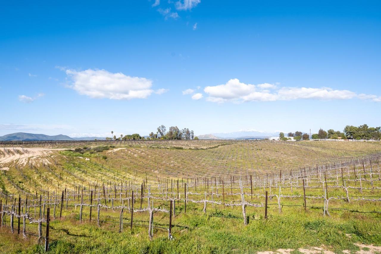 Domaine Chardonnay Bed and Breakfast Τεμέκουλα
 Εξωτερικό φωτογραφία