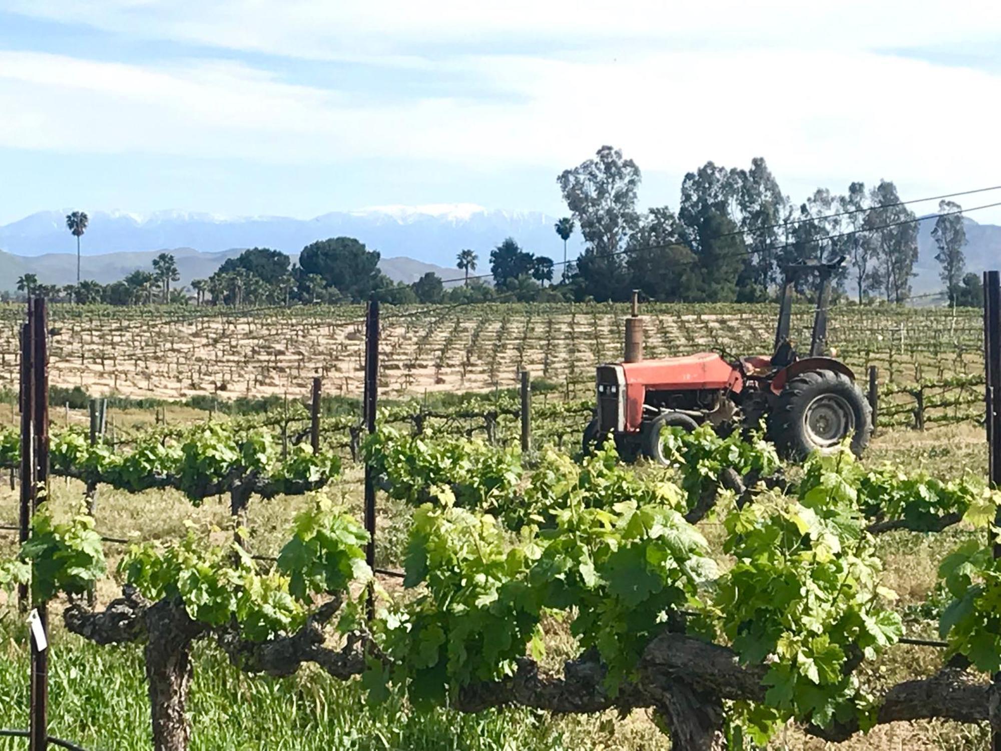 Domaine Chardonnay Bed and Breakfast Τεμέκουλα
 Εξωτερικό φωτογραφία