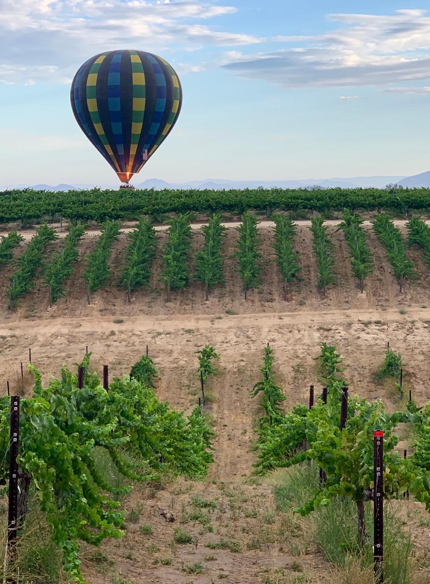 Domaine Chardonnay Bed and Breakfast Τεμέκουλα
 Εξωτερικό φωτογραφία
