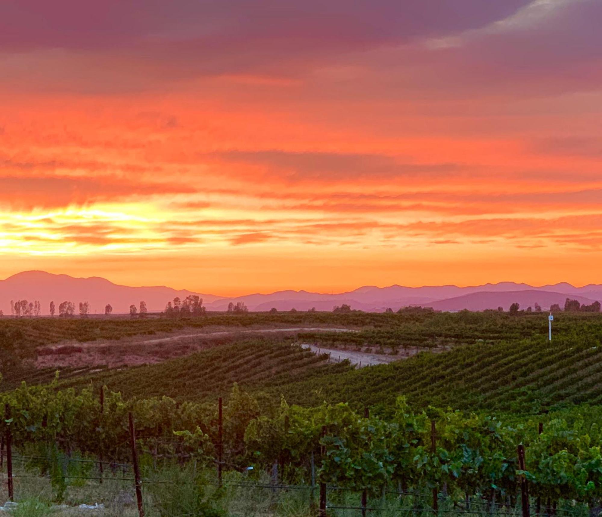 Domaine Chardonnay Bed and Breakfast Τεμέκουλα
 Εξωτερικό φωτογραφία