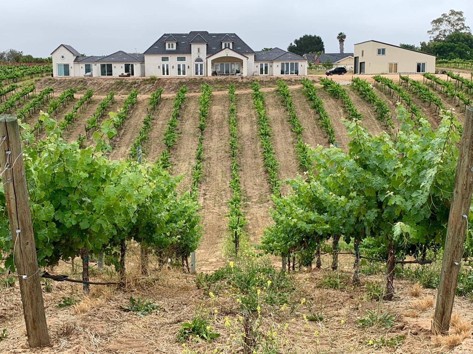 Domaine Chardonnay Bed and Breakfast Τεμέκουλα
 Εξωτερικό φωτογραφία