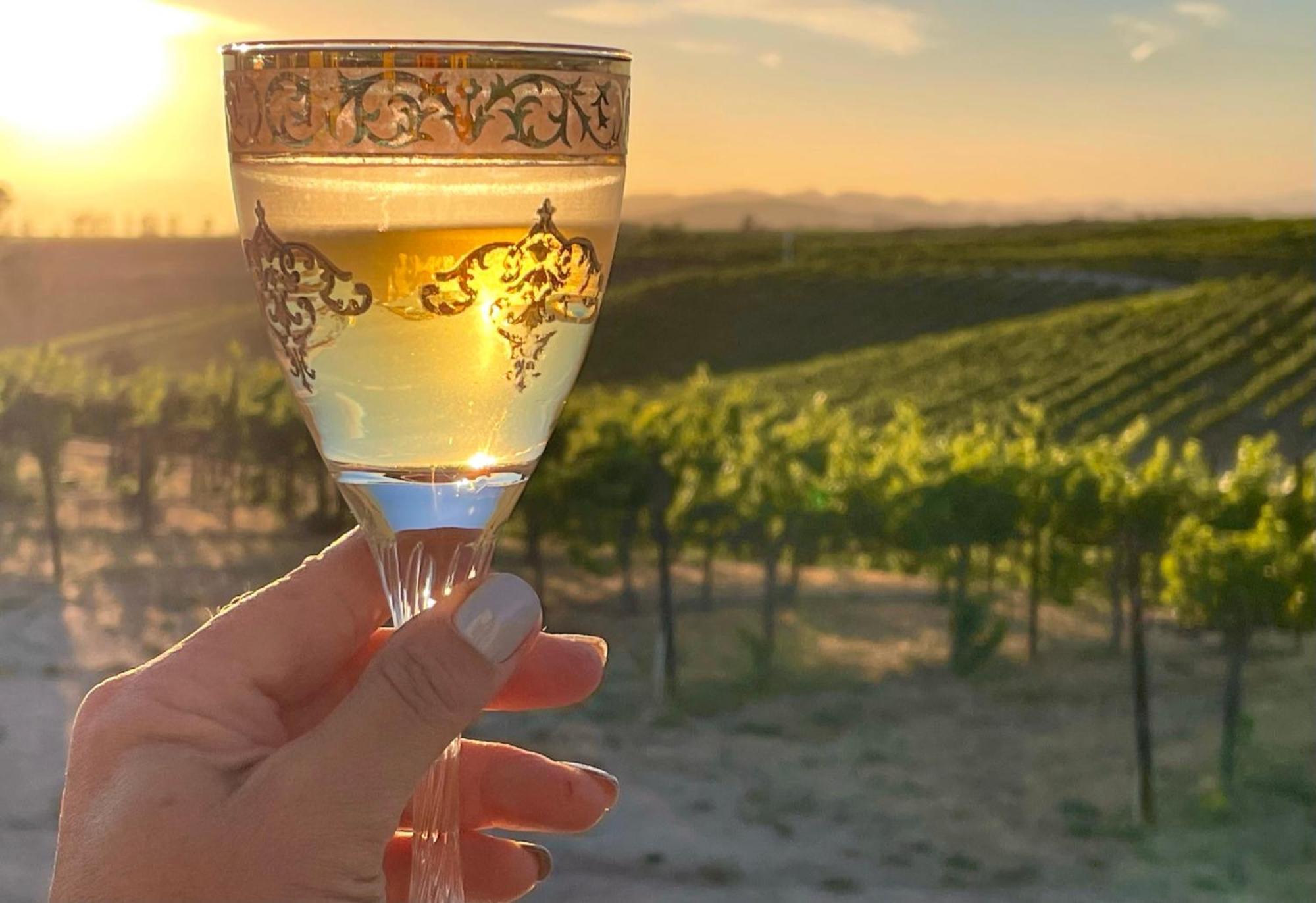 Domaine Chardonnay Bed and Breakfast Τεμέκουλα
 Εξωτερικό φωτογραφία